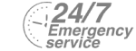 24/7 Emergency Service Pest Control in Falconwood, Welling, DA16. Call Now! 020 8166 9746