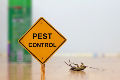 Pest Contol in Falconwood, Welling, DA16. Call Now 020 8166 9746