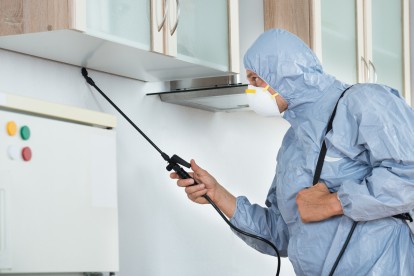 Home Pest Control, Pest Control in Falconwood, Welling, DA16. Call Now 020 8166 9746